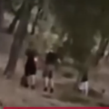 Άνω Βριλήσσια: 13χρονοι έβαζαν φωτιά στο δάσος για «challenge»