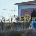 Στιγμιότυπο από την εκταφή της σορού από την αυλή του σπιτιού στην Αμαλιάδα