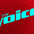 voice