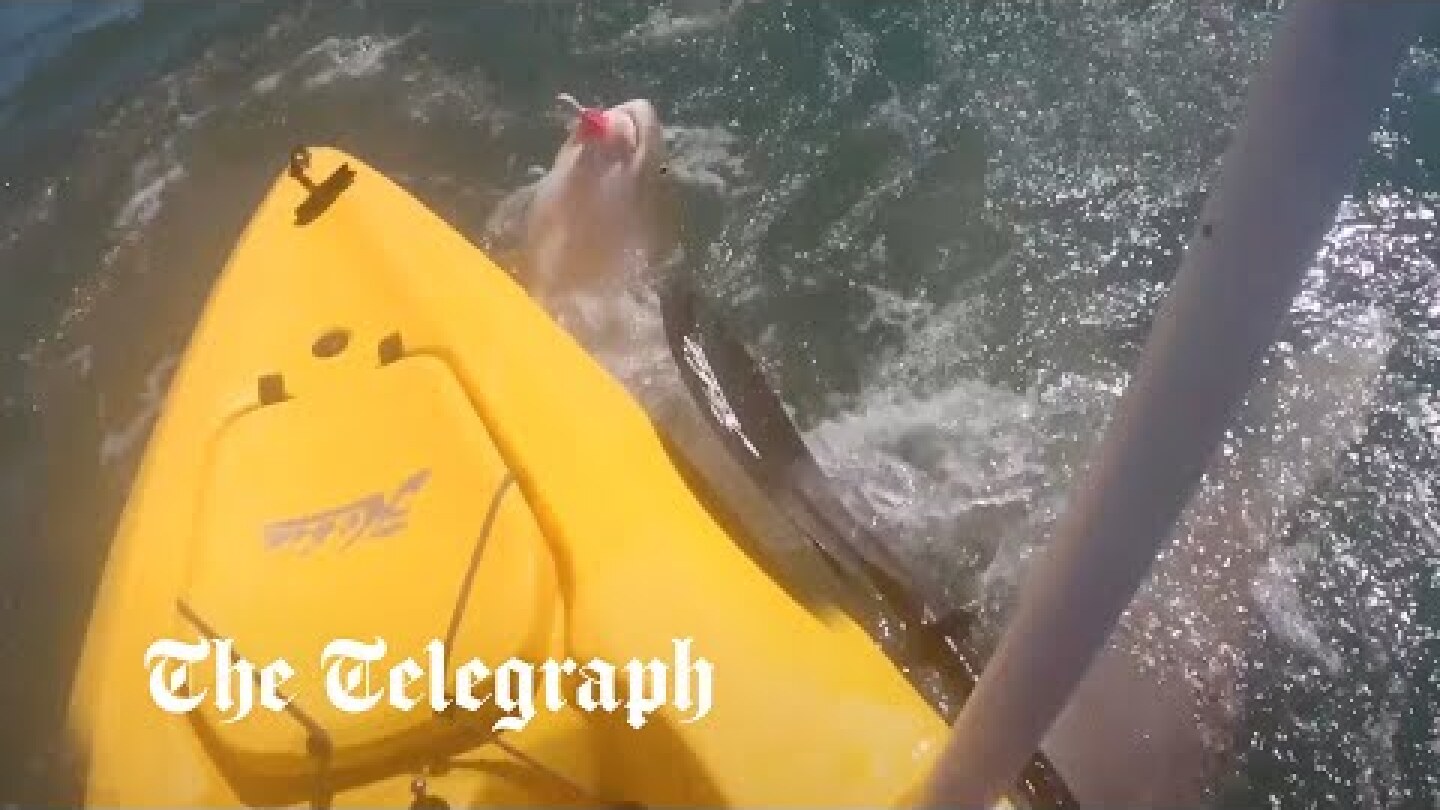 Moment an eight-foot shark rams into a kayaker on a fishing trip