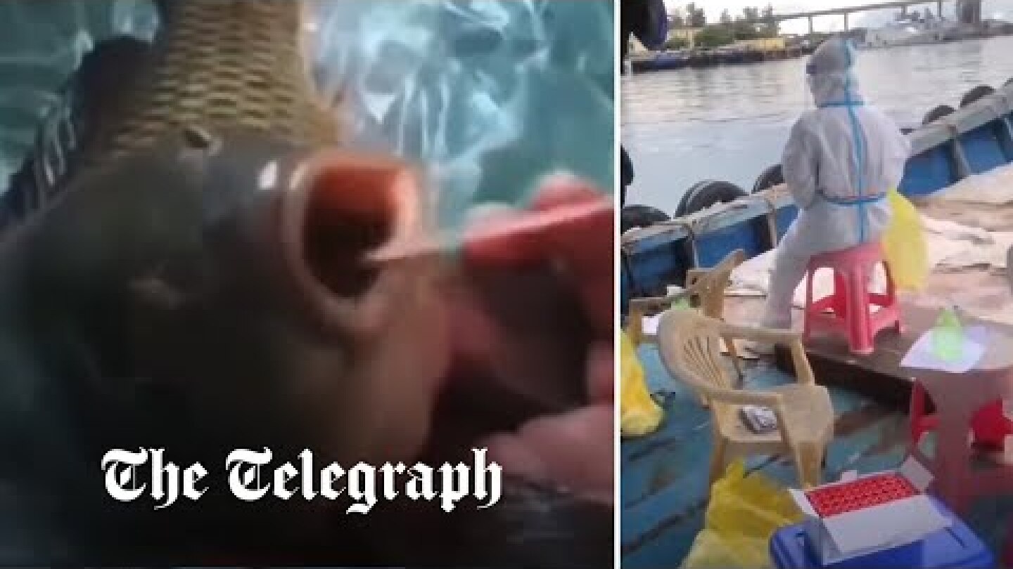 China officials test fish for coronavirus on a trawler boat amid zero-Covid policy