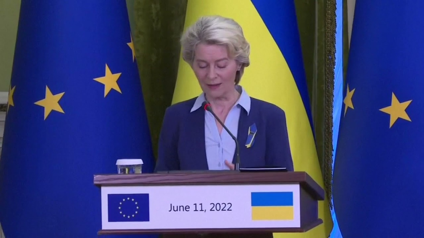 EC chief von der Leyen meets Zelensky in Kyiv: EU to finalise advice 'next week' on Ukraine hopes to