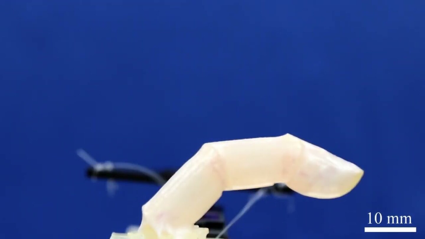 Scientists craft living human skin for robots
