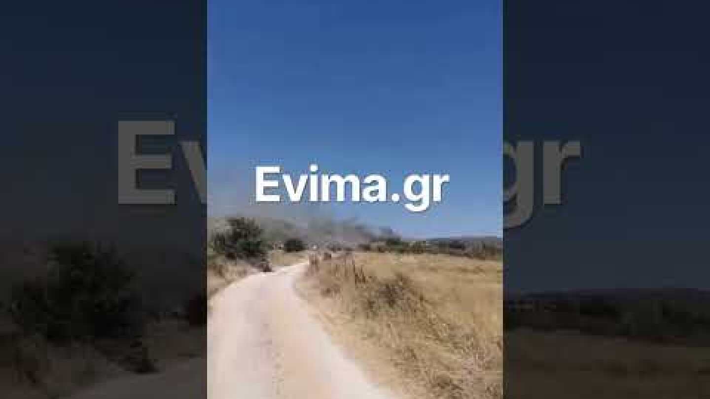Φωτιά στην Κάρυστο