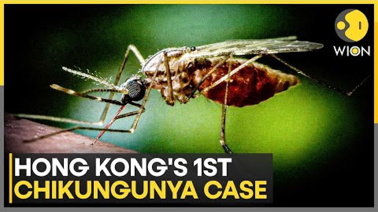 Hong Kong Confirms First Imported Case of Chikungunya Fever Amid Mainland China Outbreak | WION
