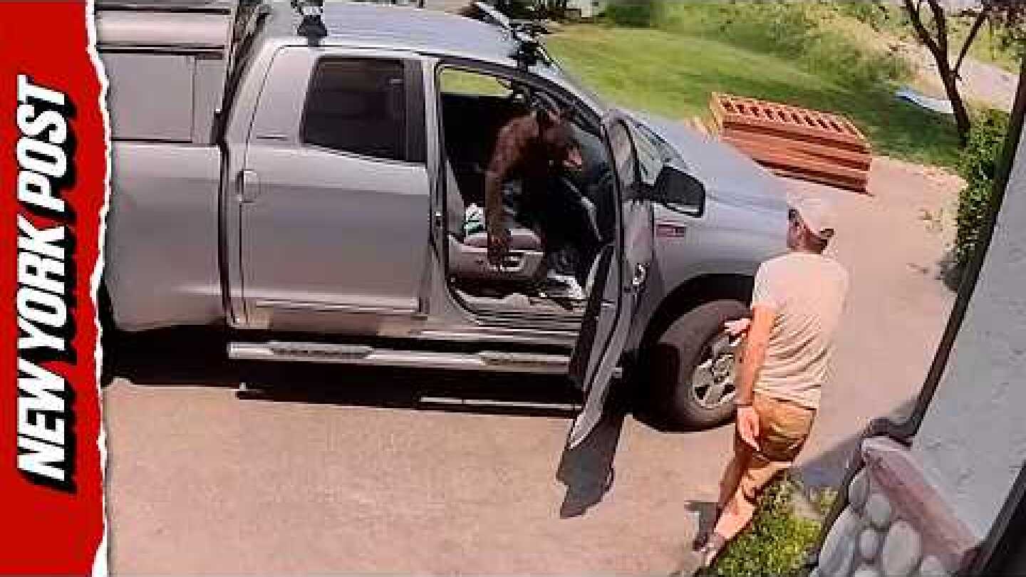 SHOCKING Moment Man Finds Bear Sitting in Driver's Seat