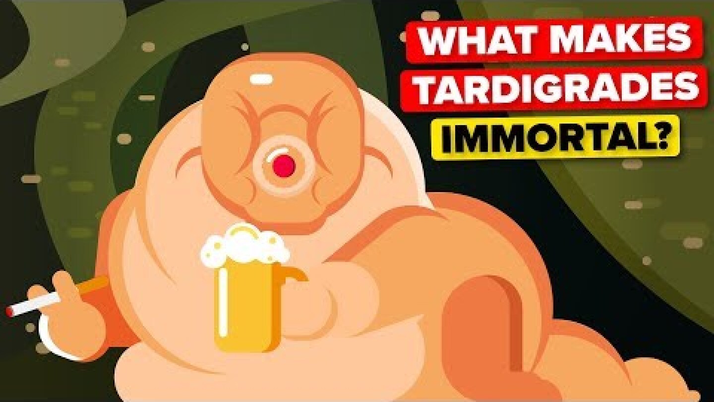 What Makes Tardigrades Immortal?