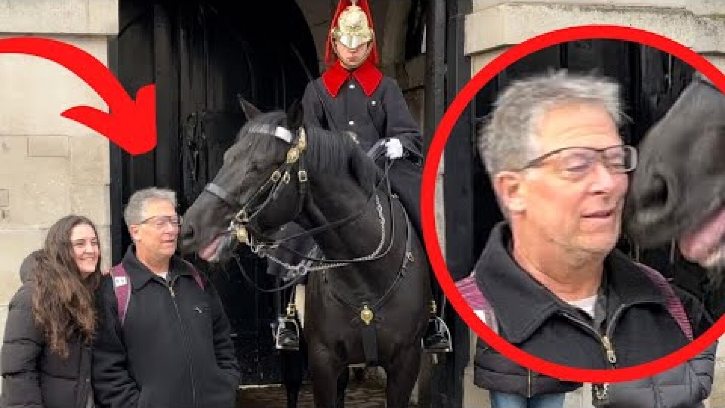 Guard’s Horse Headbutts Man