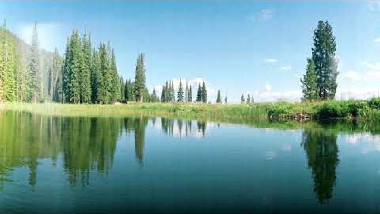 Portugal. The Man - "Lovely Day" (Cover)