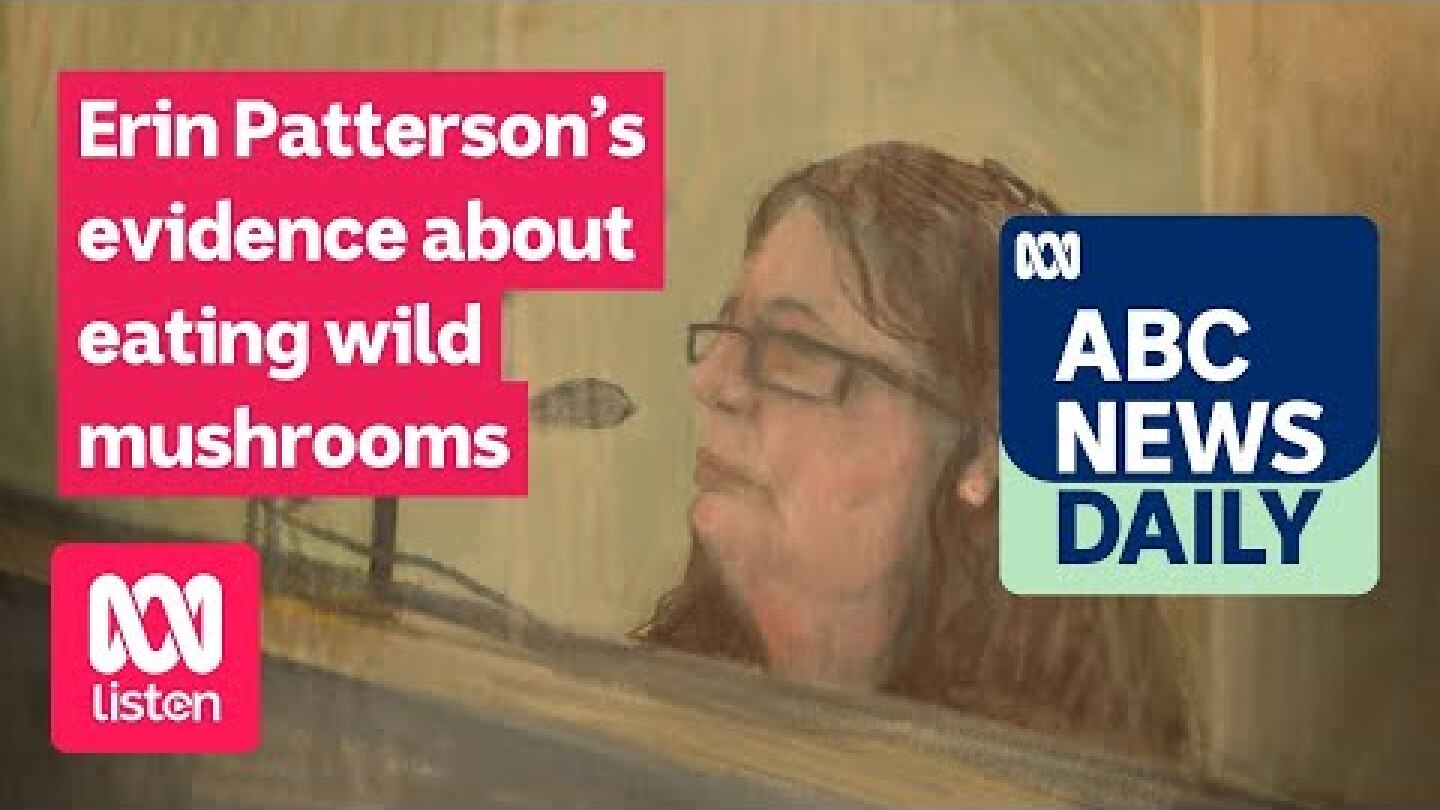 Erin Patterson’s evidence about eating wild mushrooms | ABC News Daily podcast