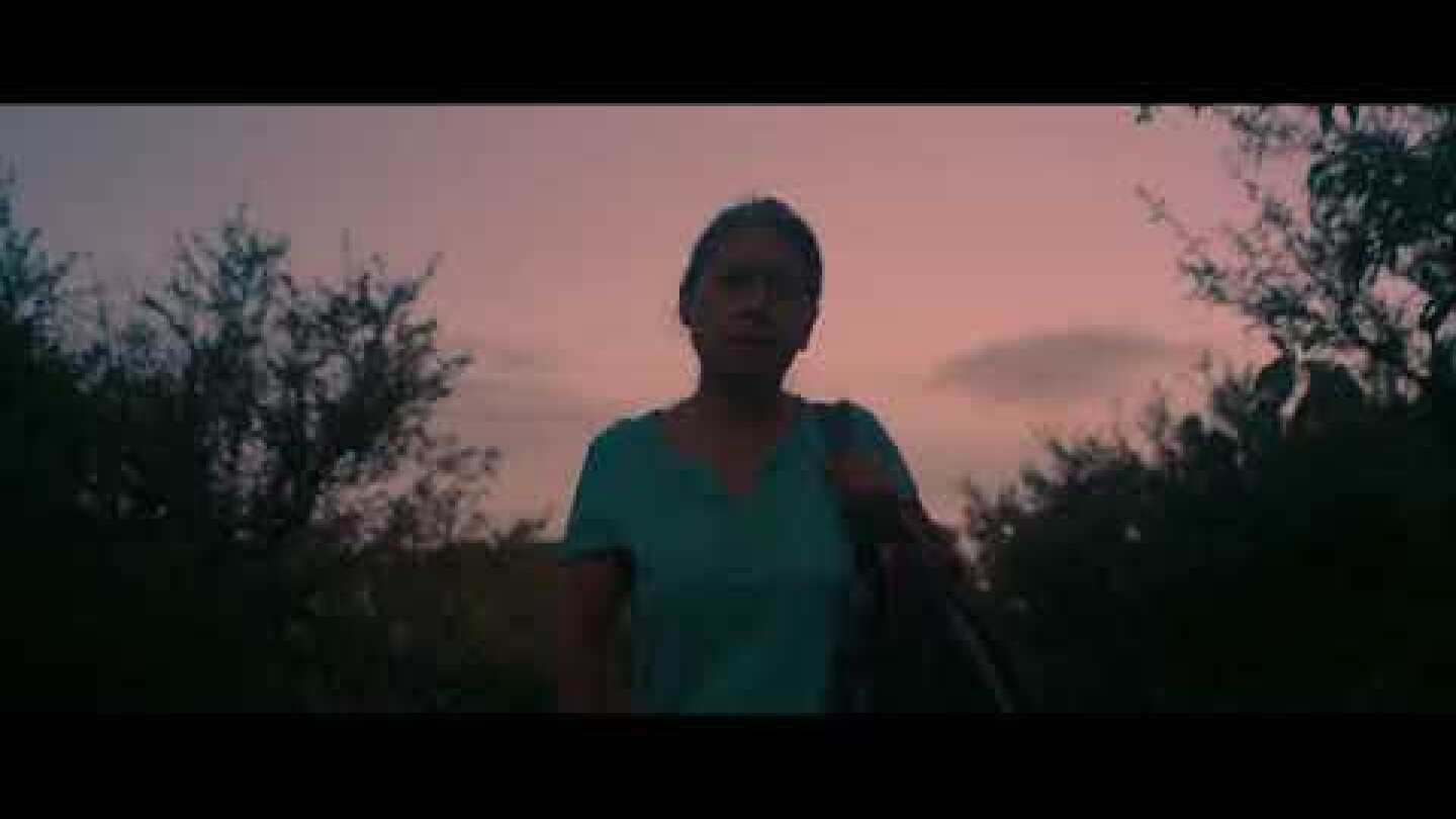 #TIFF61 | Identifying Features