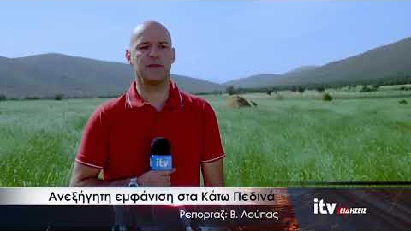 Ανεξήγητη εμφάνιση στα Κάτω Πεδινά - ITV ΕΙΔΗΣΕΙΣ - 10/9/2018