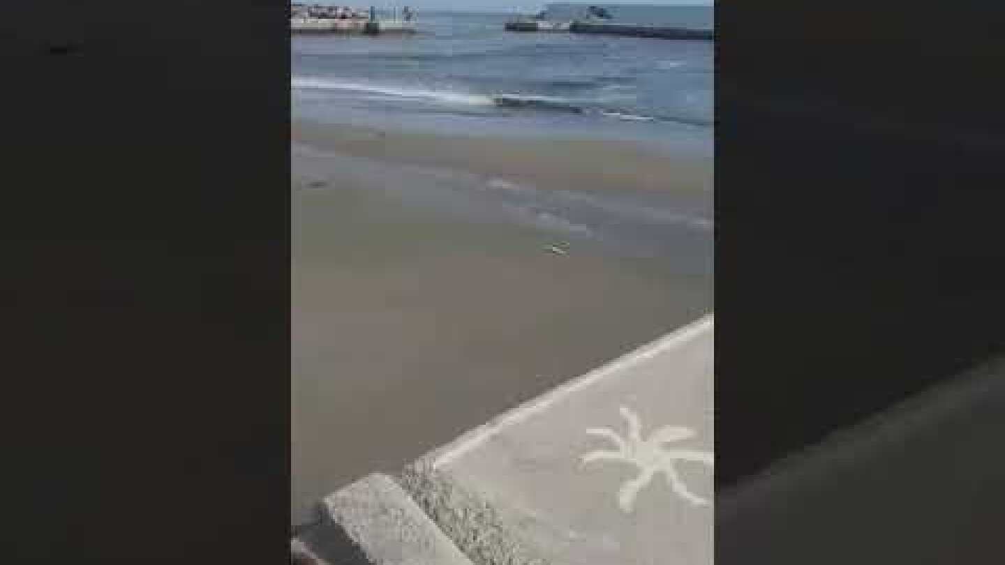 Μίνι "Τσουνάμι" στην Άρβη μετά τον σεισμό των 6 ρίχτερ