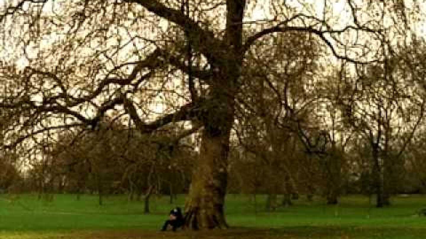 Oasis - Songbird (Official Video)