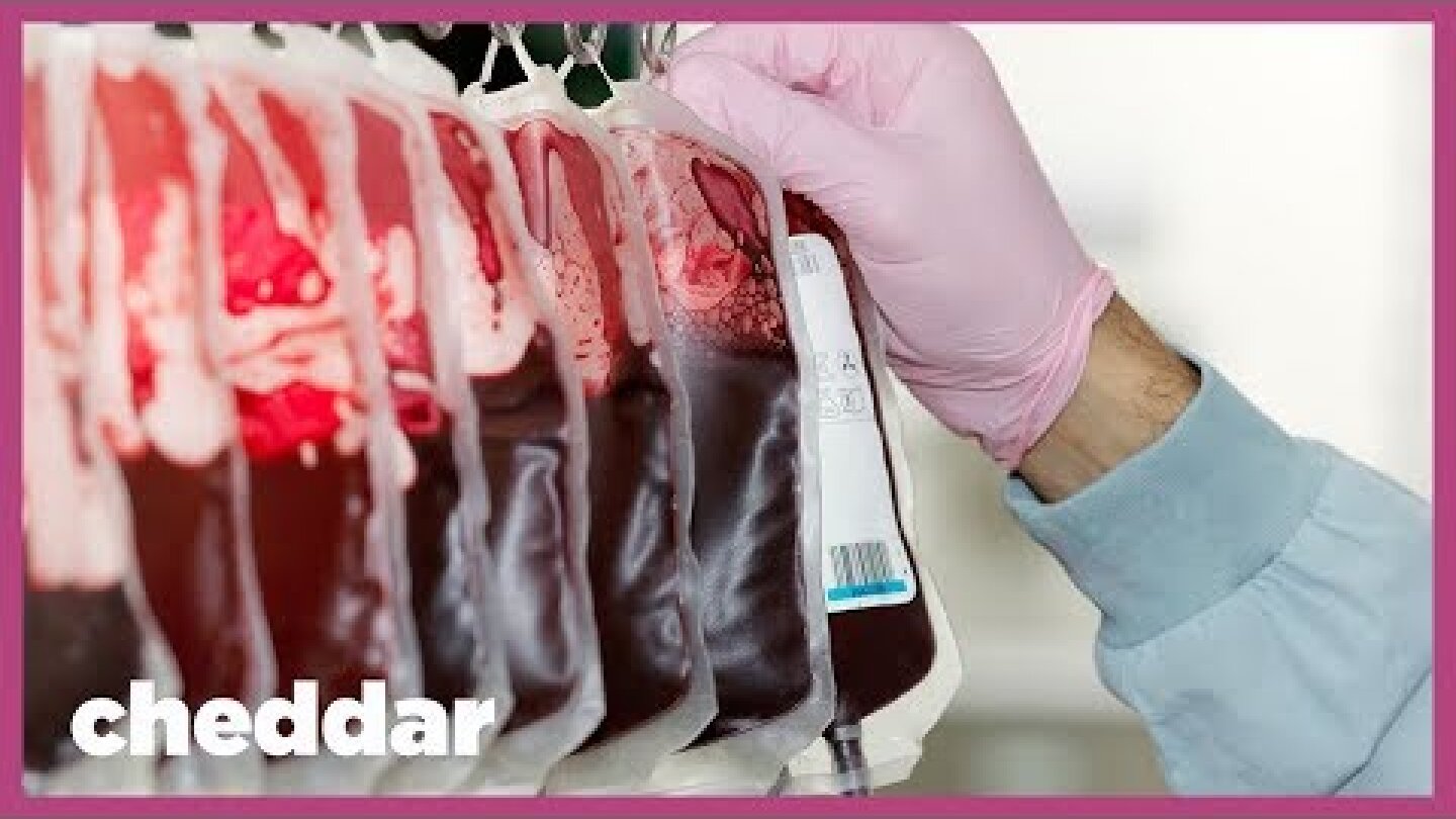 NYC Startup Claims Young Blood is the Key to Eternal Youth