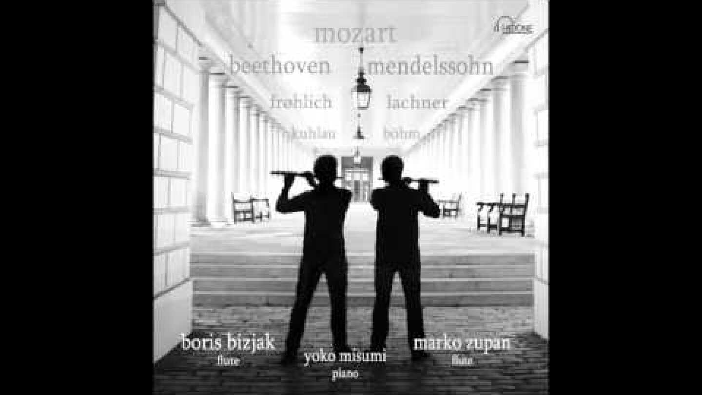 Mozart Sonata in D Major, K 448 / 375a for two pianos (arr Marko Zupan) / Bizjak, Zupan, Misumi