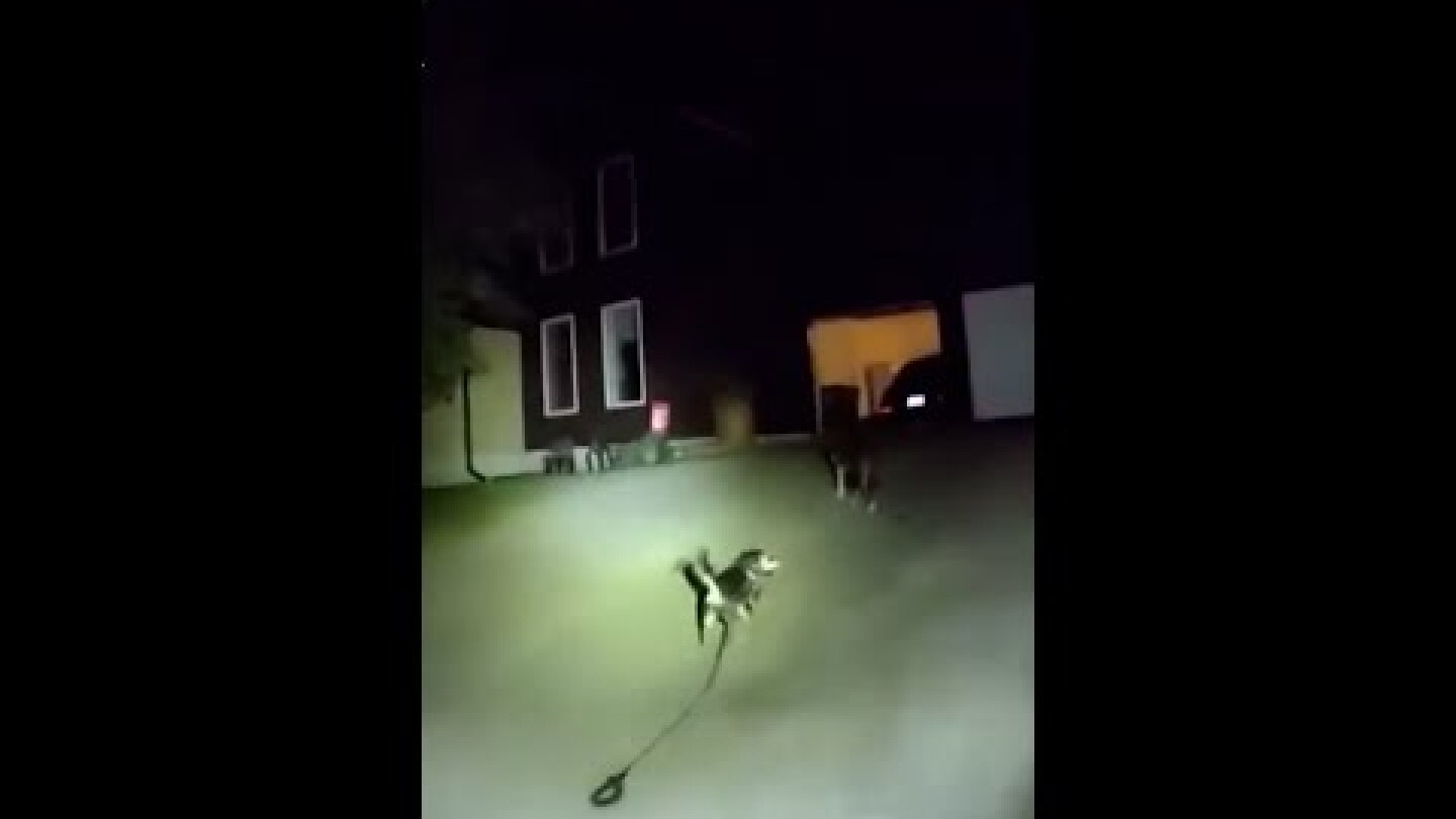 Kansas dog leads police officer to injured owner