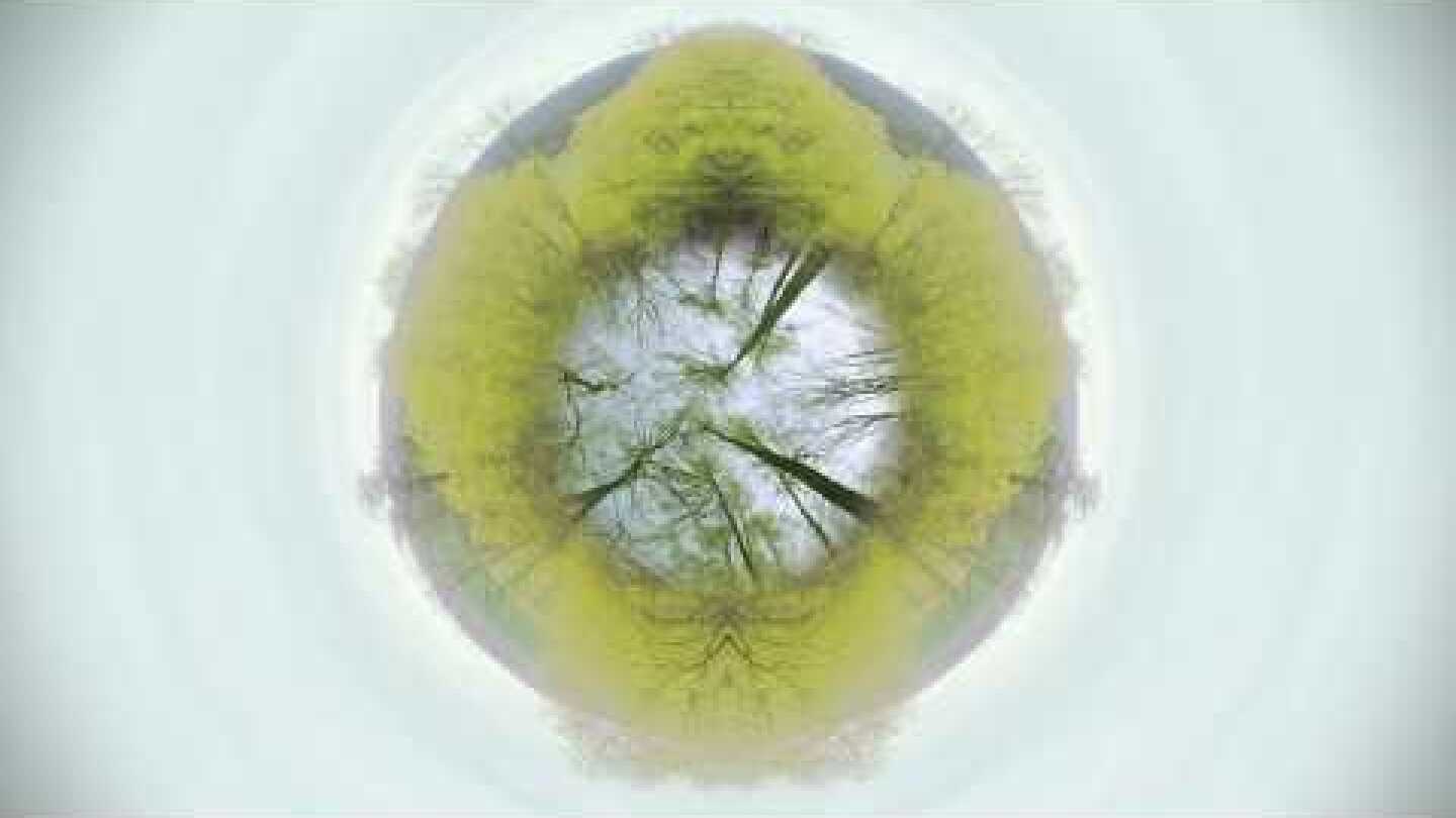 Hior Chronik - Remember