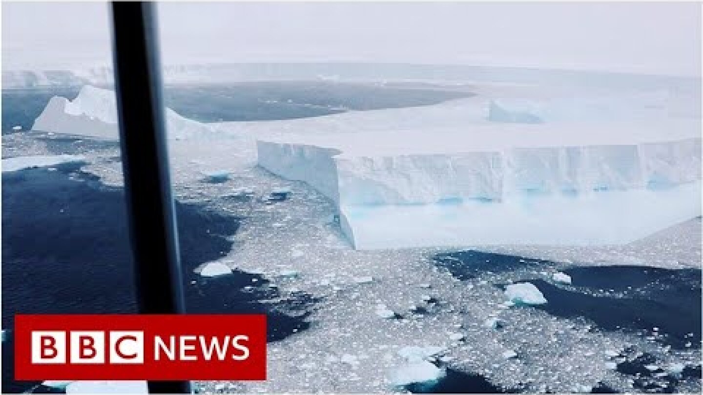 Video captures world's biggest iceberg - BBC News