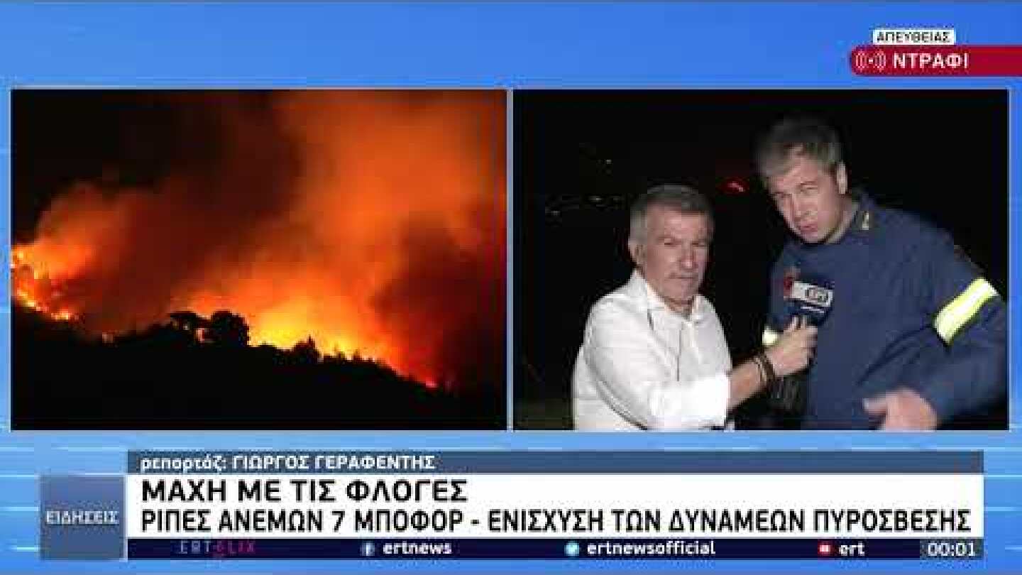 Πρόεδρος Ένωσης Αξιωματικών ΠΣ: «Αδύνατο να μην παραμείνουν ενεργά μέτωπα» | 19/07/2022 | ΕΡΤ