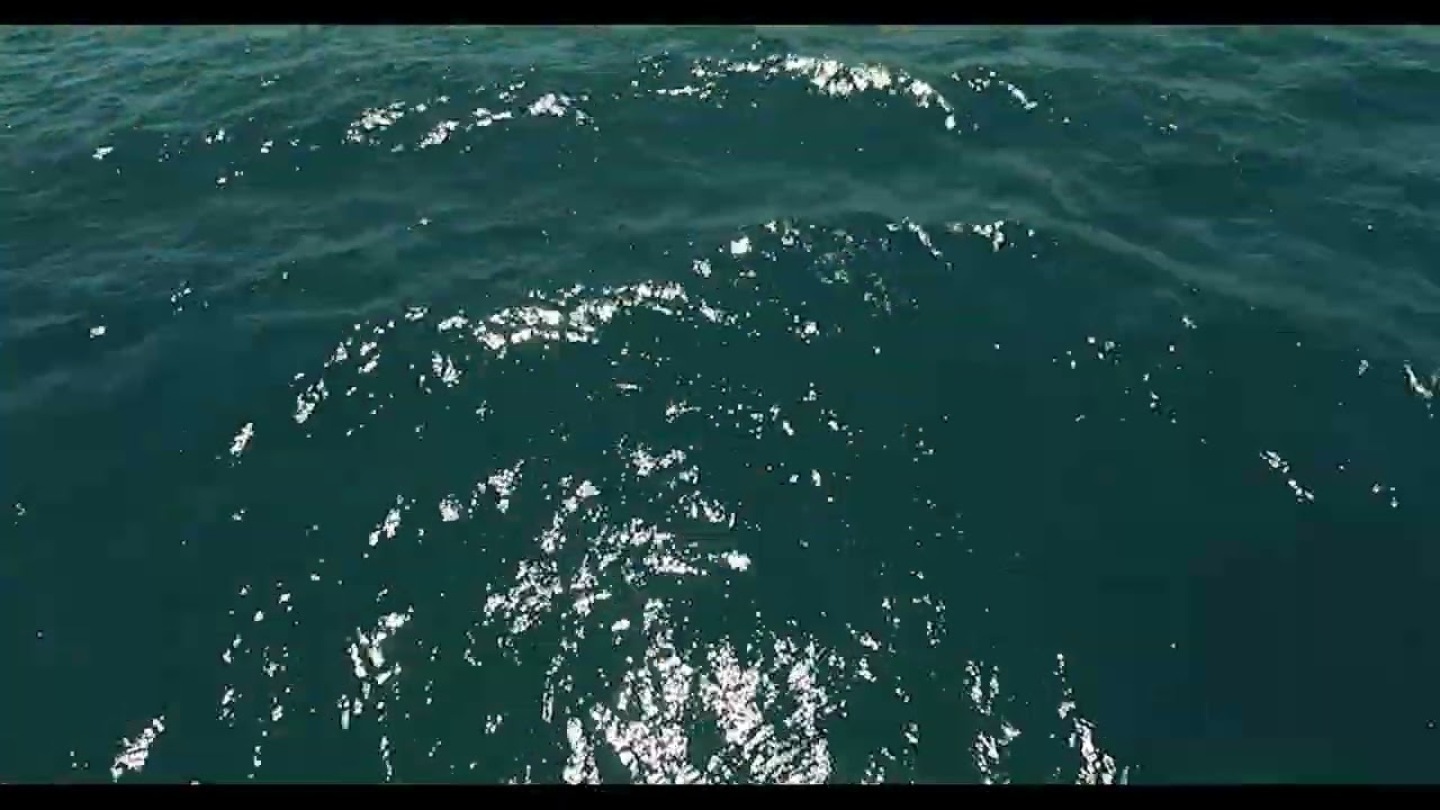 8ο Διεθνές Φεστιβάλ Μουσικής Μολύβου 2022