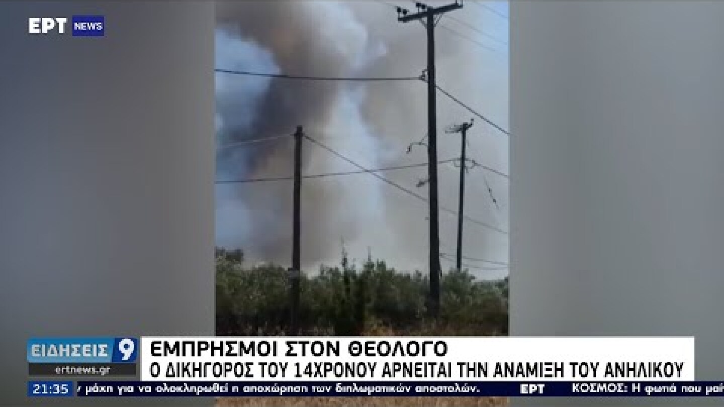 Εμπρησμοί στον Θεολόγο: Οπτικό υλικό με τη δράση του 14χρονου ΕΡΤ 19/8/2021