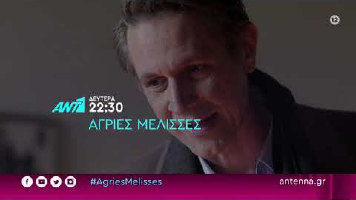 Άγριες Μέλισσες – Δευτέρα 04/04 στις 22:30