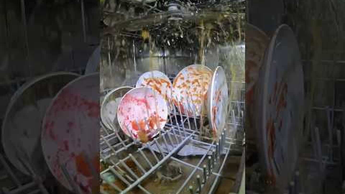 I put a camera inside my dishwasher 📸 🧼