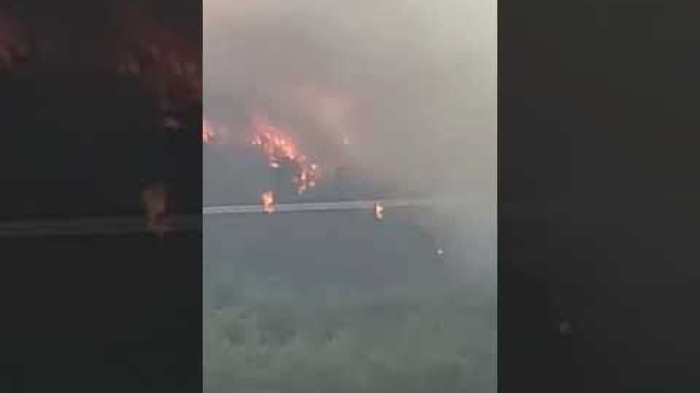 Η φωτιά στο Δάσος Δαδιας