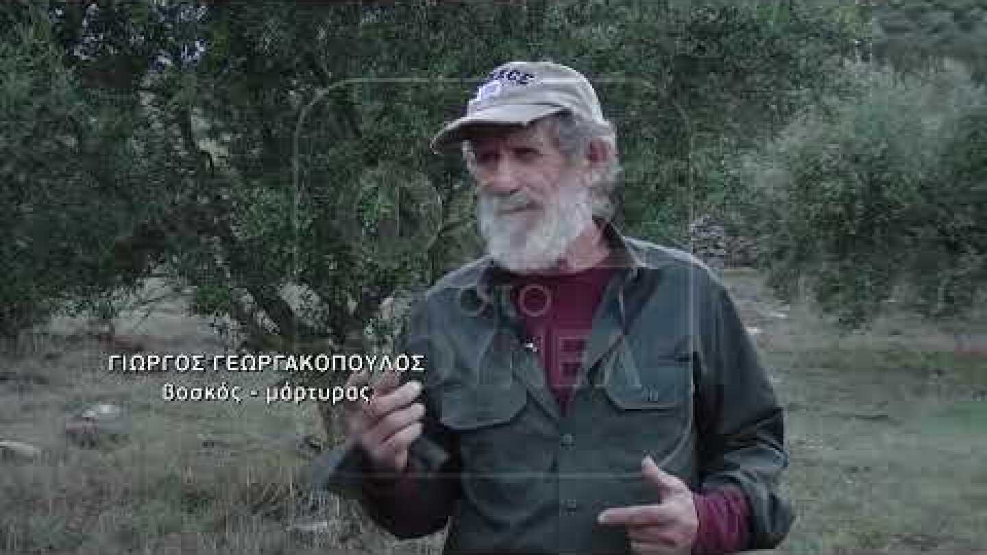 Βοσκός: «Εγώ βρήκα επιμελώς τοποθετημένα τα ρούχα της στο βουνό…»