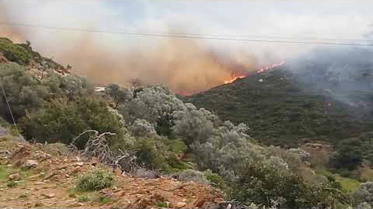 Φωτια Ρεματα-Κατακοιλος-Ατένι