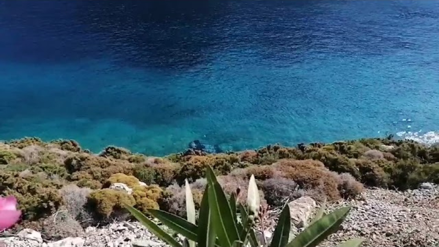 Αυτοκίνητο έπεσε στη Θάλασσα στην περιοχή  Αργινώντα Καλύμνου. Νεκρός ανασύρθηκε ο οδηγός.