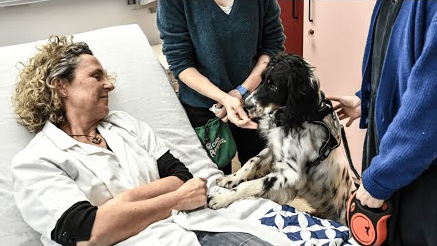 Snoopy, nouvelle recrue canine de l'Institut Curie, ravit patients et soignants