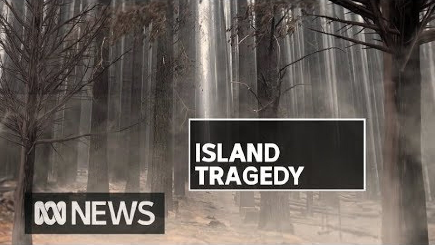 Kangaroo Island fires continue as locals count cost of damage to infrastructure, animals | ABC News