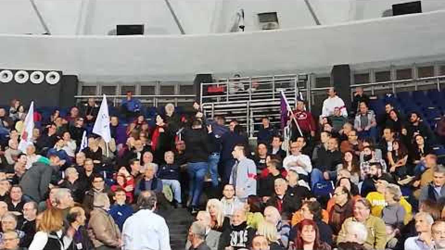 Διαδηλωτής Παλε