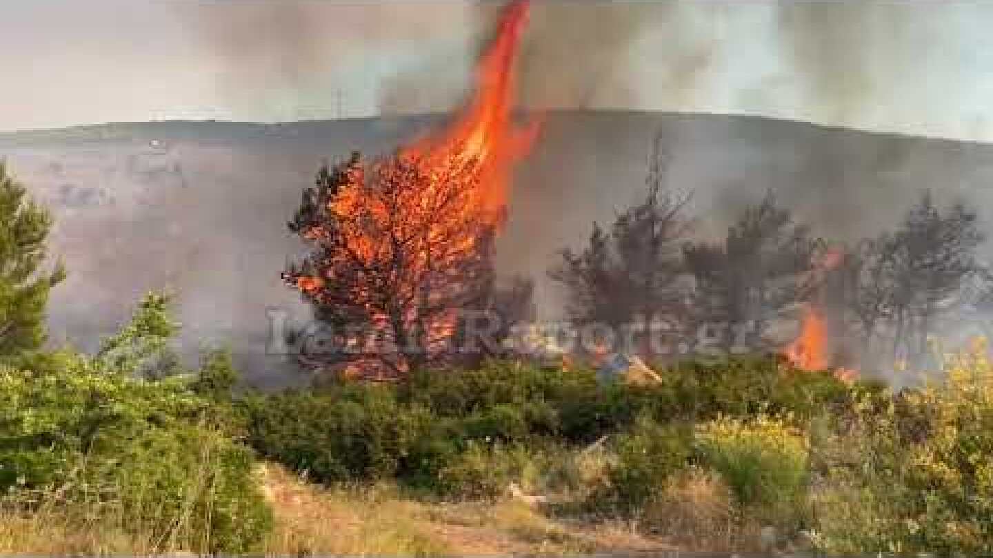 Lamiareport.gr: Μάχη με τις φλόγες στο Μαρτίνο