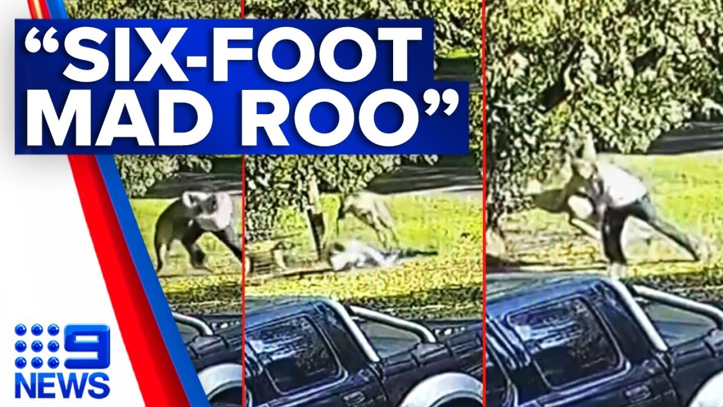Victorian man fights feisty kangaroo in dramatic six-minute brawl | 9 News Australia