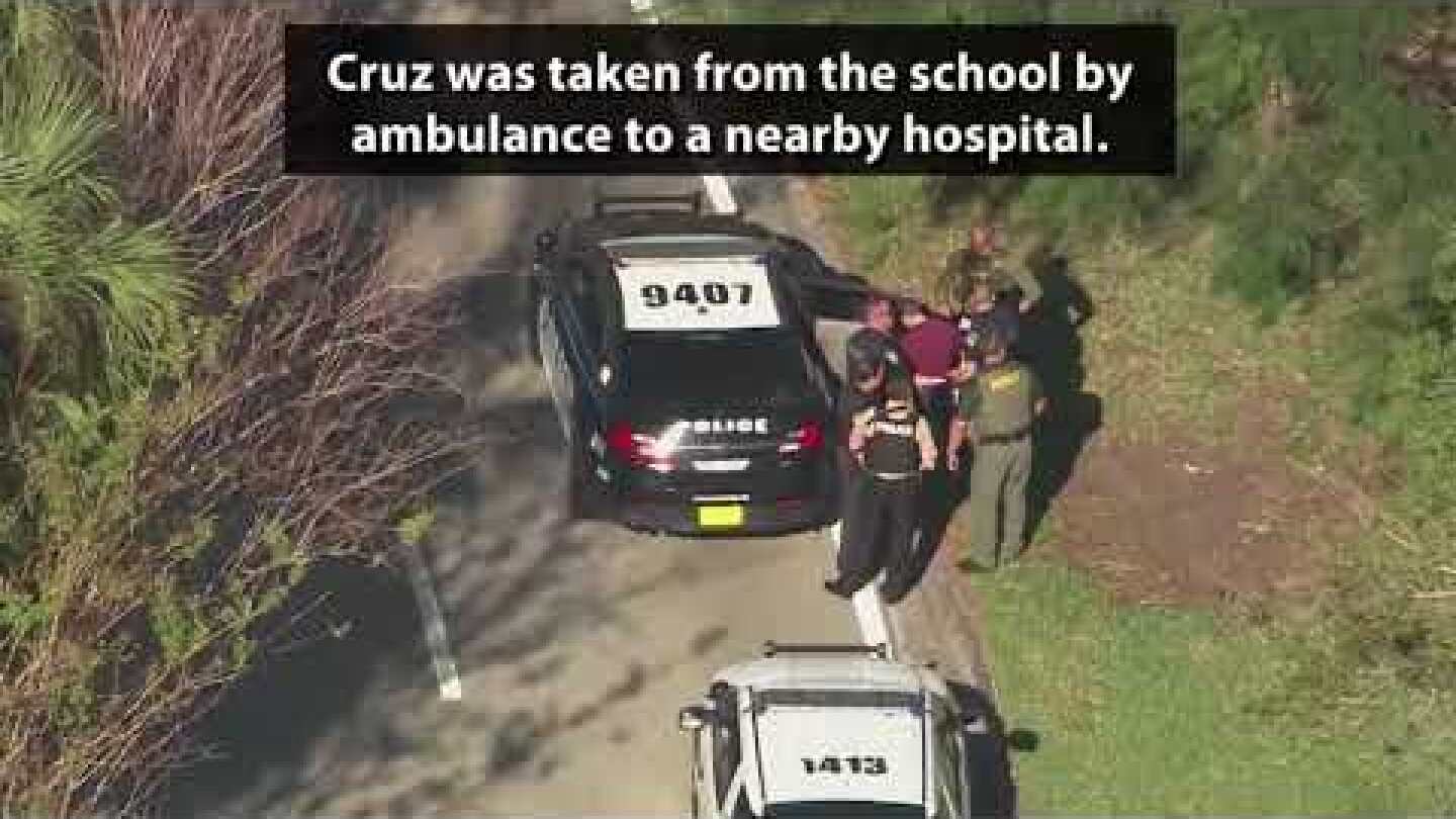 Who Is Nicolas De Jesus Cruz, Alleged Gunman In Florida School Shooting?
