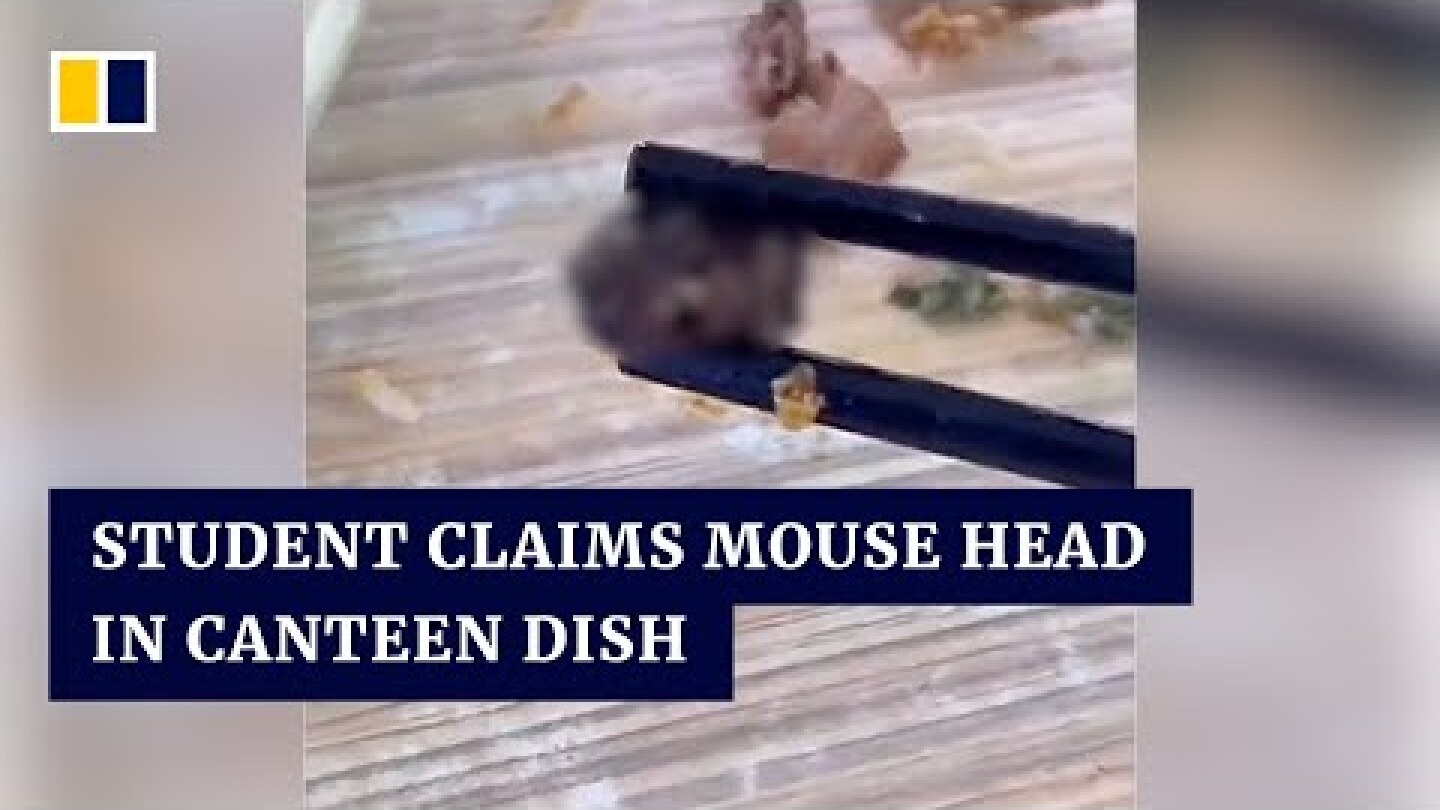 Student claims mouse head in canteen dish, but college said is duck neck