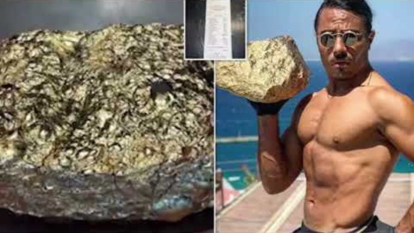 tig tag vision , breacking new Salt Bae shares video of massive steak coated in 24 karat gold