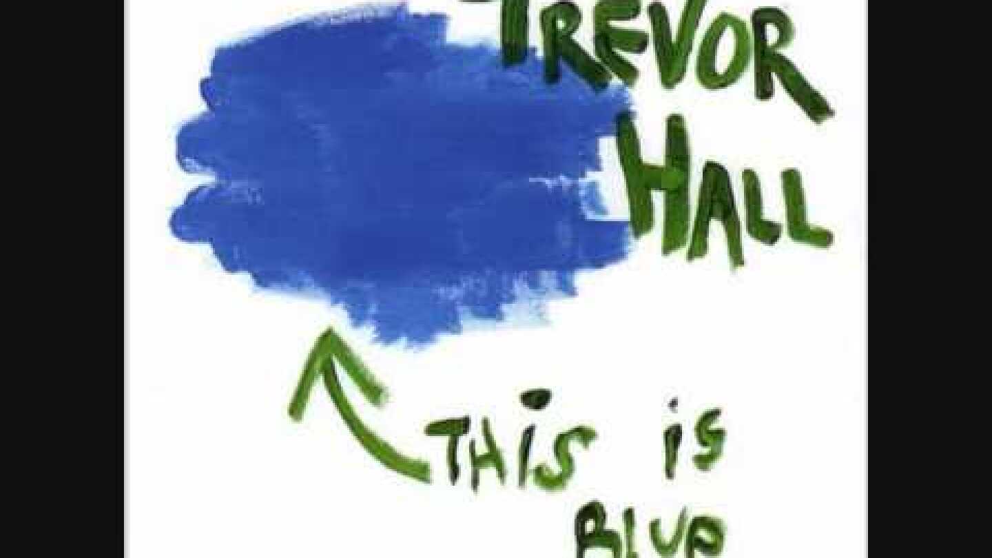 Trevor Hall - Lady Love - With Lyrics