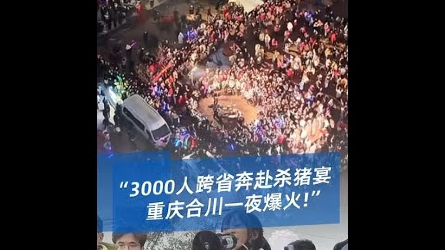 破防！重庆小妹求助杀年猪，竟摇来全国上千人，合川文旅躺赢 KPI！