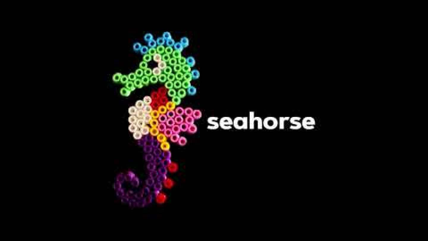 Seahorse - Heaven is underground