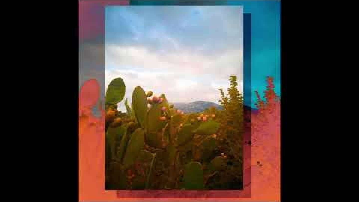 Smalfeels - Forget Me Not