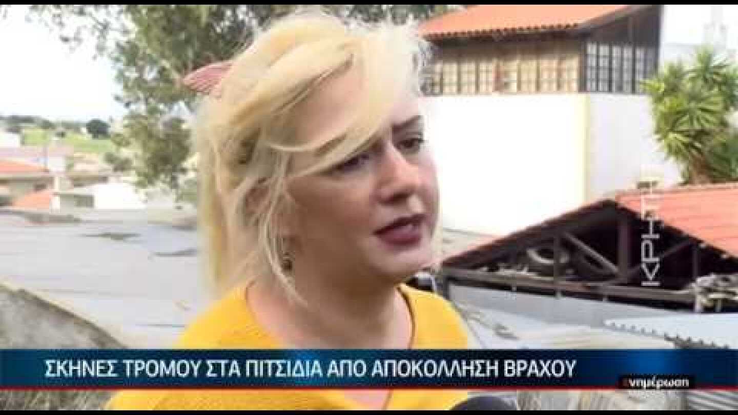 Σκηνές τρόμου στα Πιτσίδια από αποκόλληση βράχου