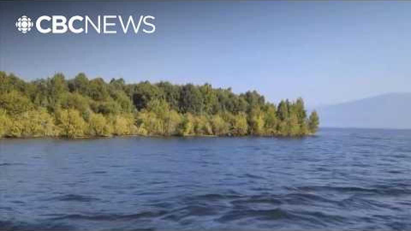 An island mysteriously appeared — then disappeared — on B.C.'s largest reservoir