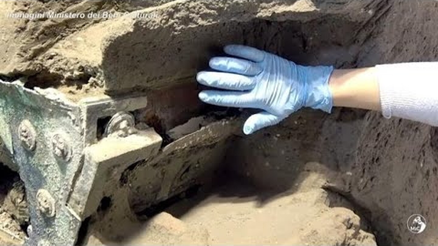 Pompei, ritrovato un carro nuziale, artefatto incredibile e unico nel suo genere