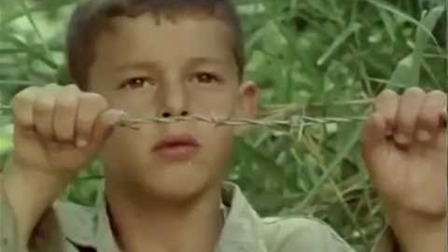 Αβδελιώδης Δήμος Το Δέντρο που πληγώναμε