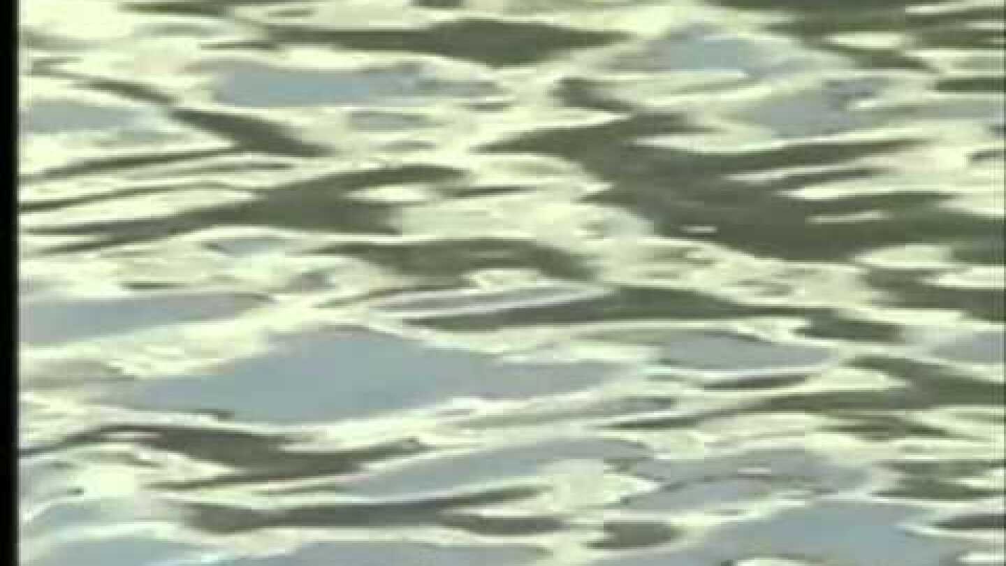 Τα εμβόλια περιέχουν Kαρκινικούς ιούς - Dr Leonard Horovitz