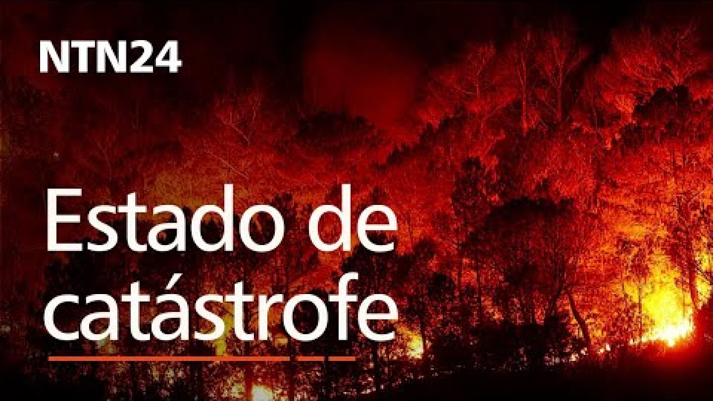 Declarado estado de catástrofe en Chile por incendios forestales